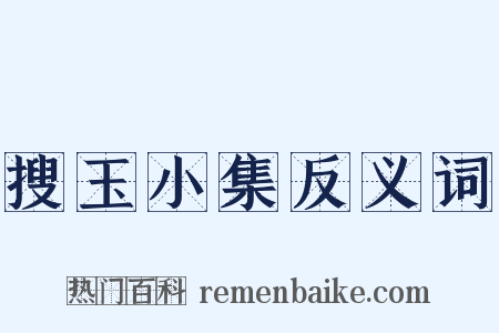 搜玉小集反义词是什么意思的图片